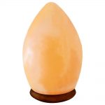 Pak Salt Lamps Salt Egg Lamp